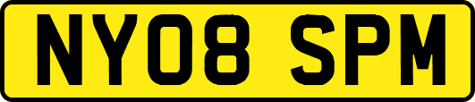 NY08SPM