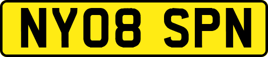 NY08SPN