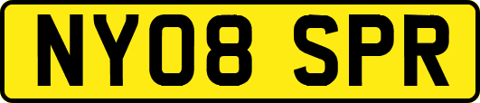 NY08SPR