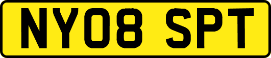 NY08SPT