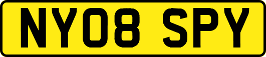 NY08SPY