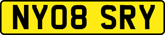 NY08SRY