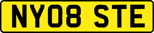 NY08STE