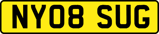 NY08SUG