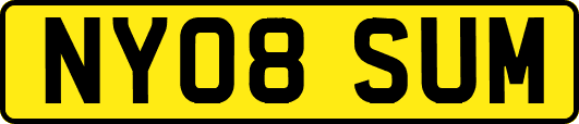 NY08SUM