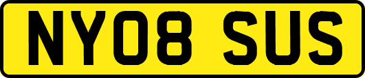 NY08SUS