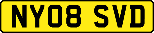 NY08SVD