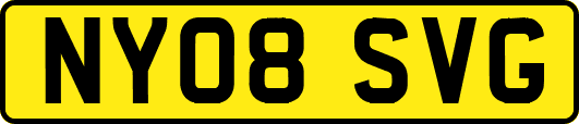 NY08SVG