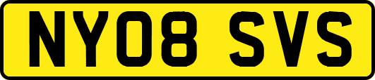 NY08SVS