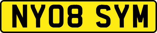 NY08SYM