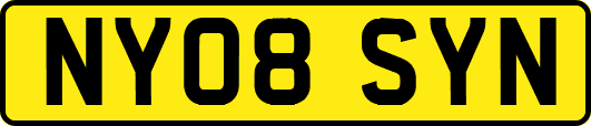 NY08SYN
