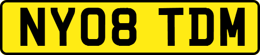 NY08TDM