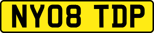 NY08TDP