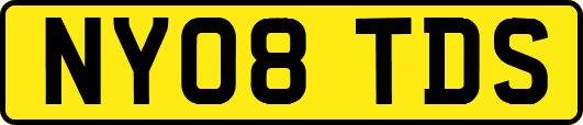 NY08TDS