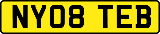 NY08TEB