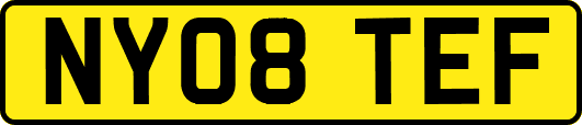 NY08TEF