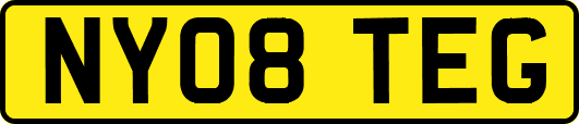 NY08TEG