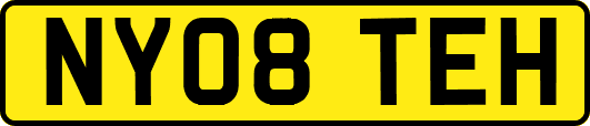 NY08TEH