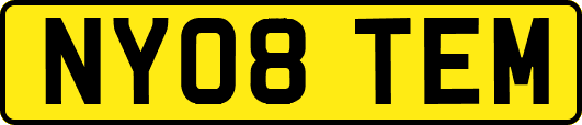 NY08TEM