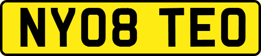 NY08TEO