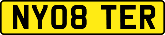 NY08TER