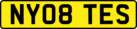 NY08TES