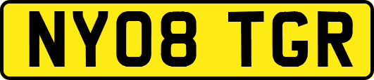 NY08TGR