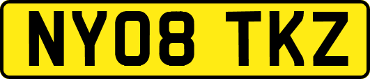NY08TKZ