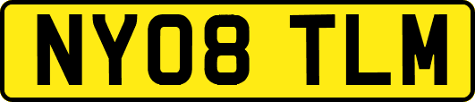 NY08TLM