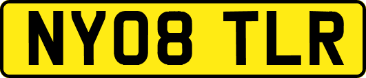 NY08TLR