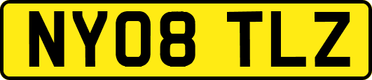 NY08TLZ