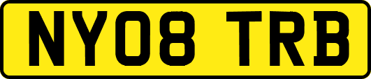 NY08TRB