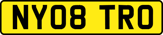 NY08TRO