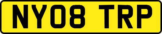 NY08TRP