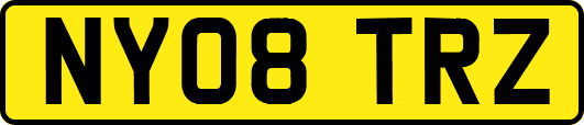 NY08TRZ