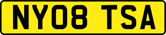 NY08TSA