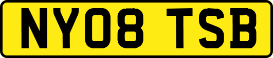 NY08TSB