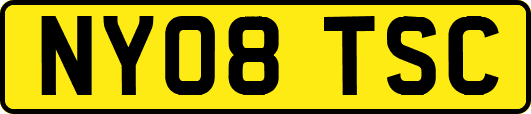 NY08TSC