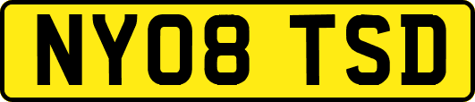 NY08TSD