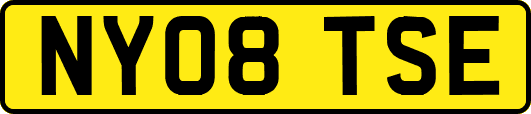 NY08TSE