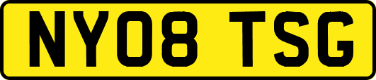 NY08TSG