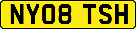 NY08TSH