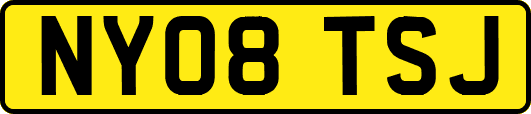 NY08TSJ