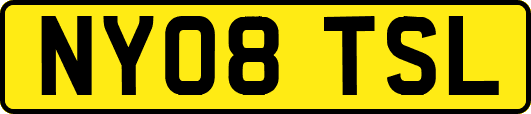 NY08TSL
