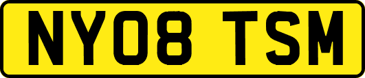 NY08TSM
