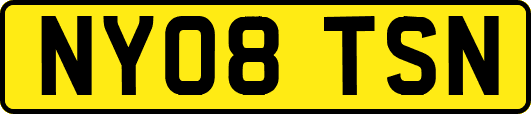 NY08TSN