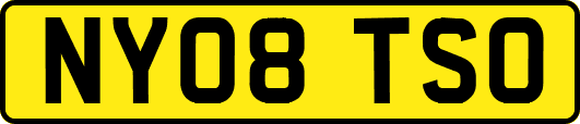NY08TSO