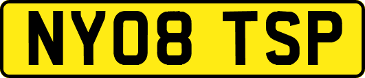 NY08TSP
