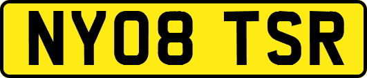 NY08TSR