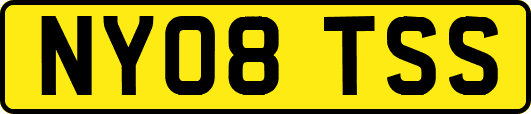 NY08TSS
